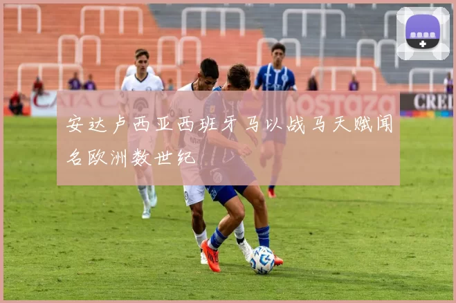 安达卢西亚西班牙马以战马天赋闻名欧洲数世纪