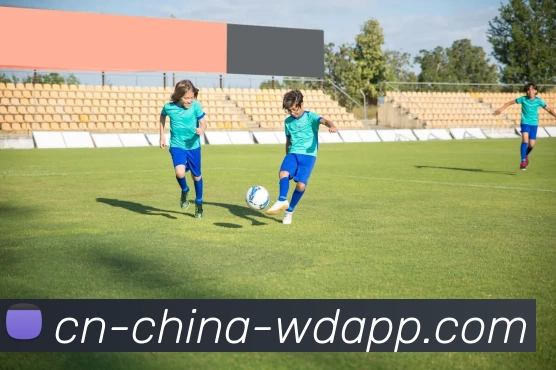 App Interface Preview